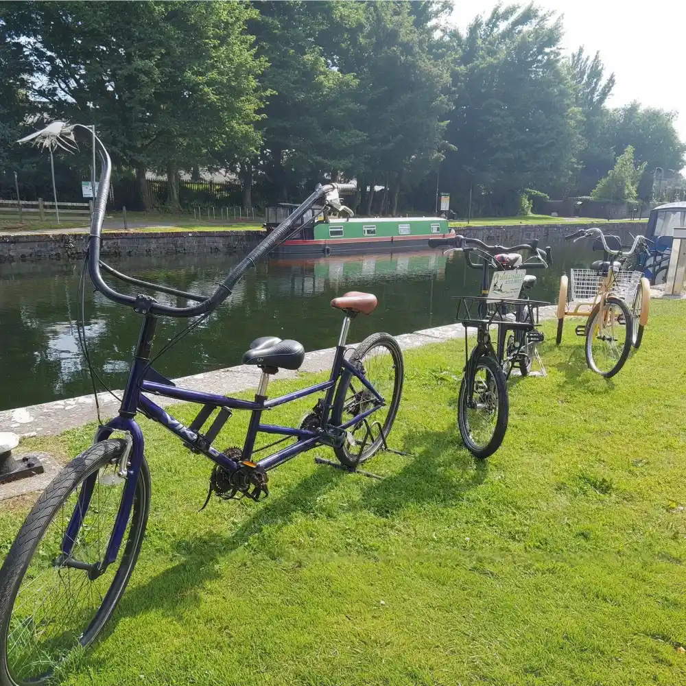 Additional Needs- Buddy Bike