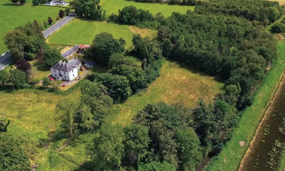 Murtagh’s Organic Farm